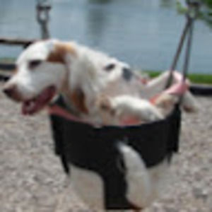 Meet your Posher, Marisa